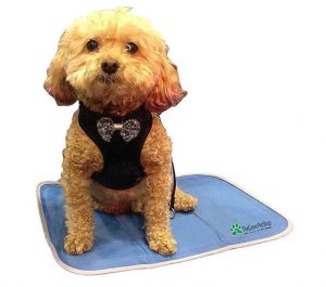The Green Pet Shop Dog Cooling Mat - Pressure-Activated Gel Cooling Mat For Dogs