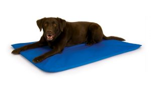 K&H Pet Products Cool Bed III Cooling Dog Bed