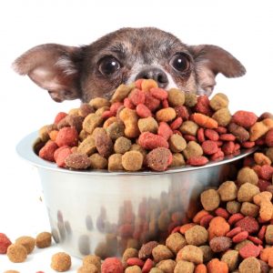 Best Limited Ingredients Dog Food