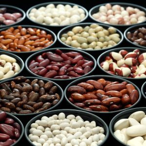 A Few Types of Beans in a Plates