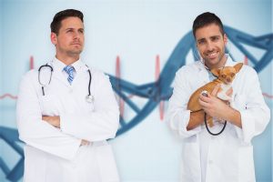 Veterinarians with a small breed dog and DNA pic on the background