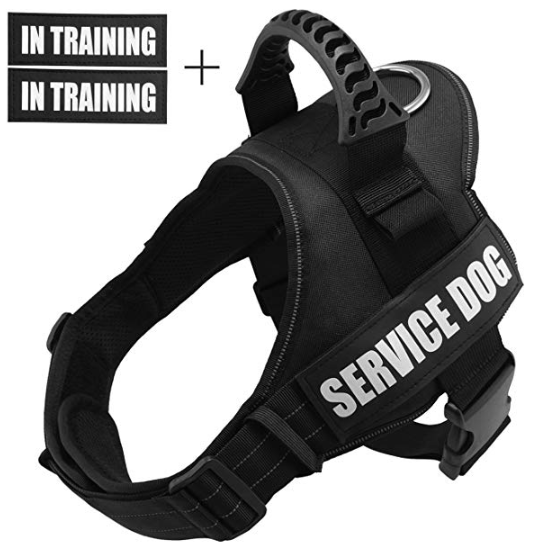 The Top 10 Service Dog Vest & Harnesses (Review)