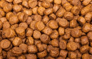 Close Up of Dog Food Cibbles