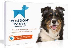Mars Veterinary Wisdom Panel Dog DNA Test Kit - Canine Breed Identification and Ancestry Information