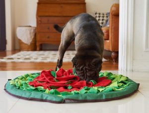 Dog Playing with Large Nosework Blanket + 5 Treat Puzzle