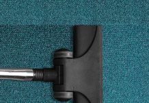 Best Carpet Cleaners For Dogs