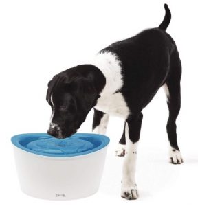 Zeus Fresh & Clear Elevated Dog and Cat Water Dispenser, Large Drinking Water Fountain with Purifying Filter