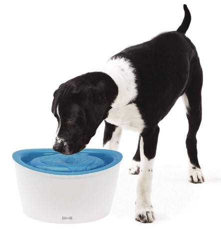 Zeus Fresh & Clear Elevated Dog and Cat Water Dispenser