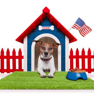 Best Long Range Wireless Dog Fence