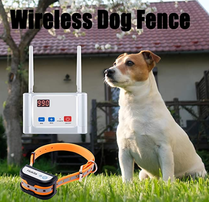 10 Best Long Range Wireless Dog Fence of 2020