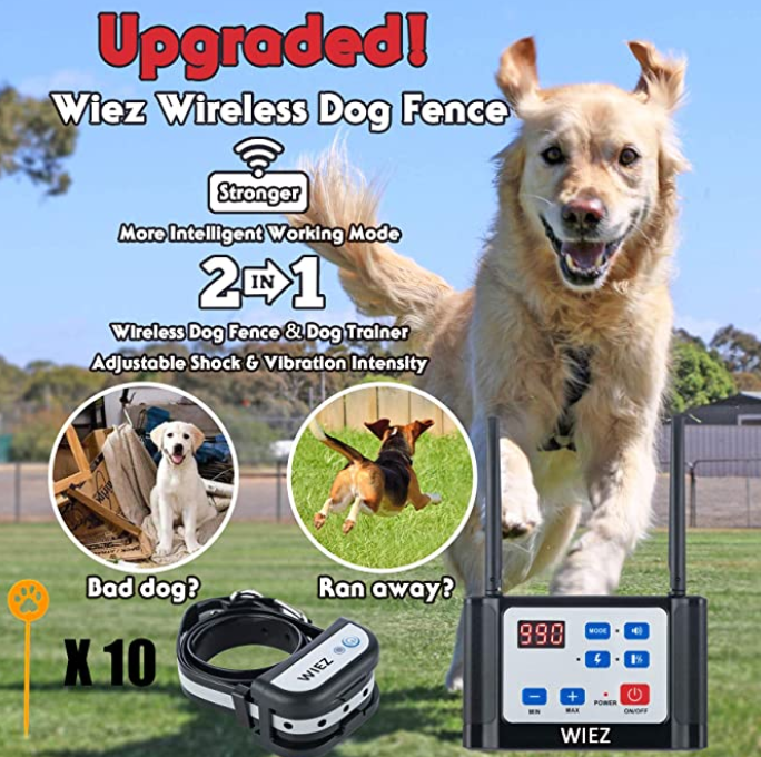 10 Best Long Range Wireless Dog Fence of 2020
