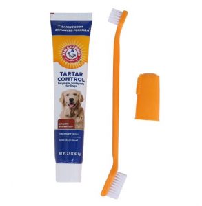 Arm & Hammer Dog Dental Care Tartar Control Kit for Dogs