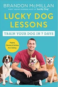 Lucky Dog Lessons: Train Your Dog in 7 Days Paperback