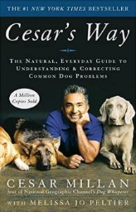 Cesar's Way: The Natural, Everyday Guide to Understanding & Correcting Common Dog Problems