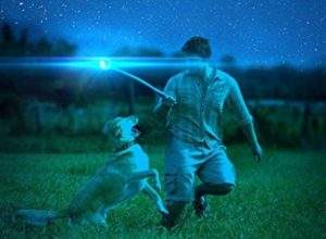 Human plays with his dog in glowing chuckit ball at night