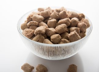 Freeze dried dog food in a bowl