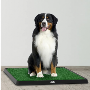 Artificial Grass Bathroom Mat for Puppies and Small Pets- Portable Potty Trainer for Indoor and Outdoor Use