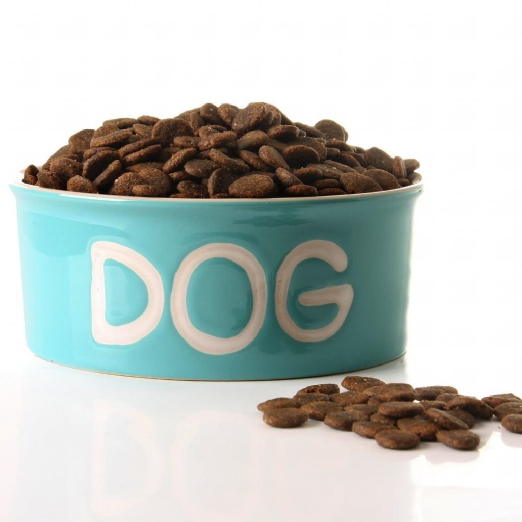 10 Best Weight Loss Dog Food of 2020