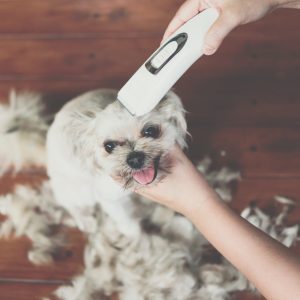 professional dog clippers for thick coats