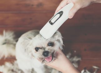 Best Dog Grooming Clippers For Thick Coat