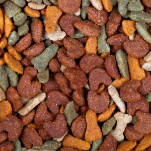 Close Up of Dog Food