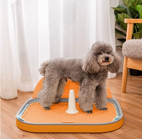 The 10 Best Dog Litter Box of 2020