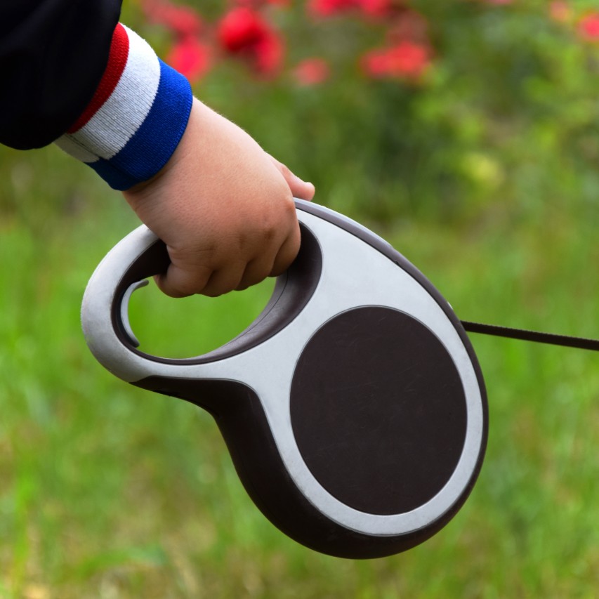 Best Retractable Dog Leash in 2020