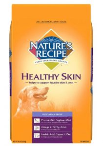 Nature's Recipe Healthy Skin Vegetarian Recipe Adult Dog Food