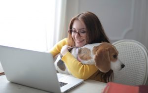 woman in yellow sweater holding brown and white short coated Beagle dog