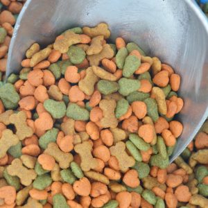 Best Container For Dog Food