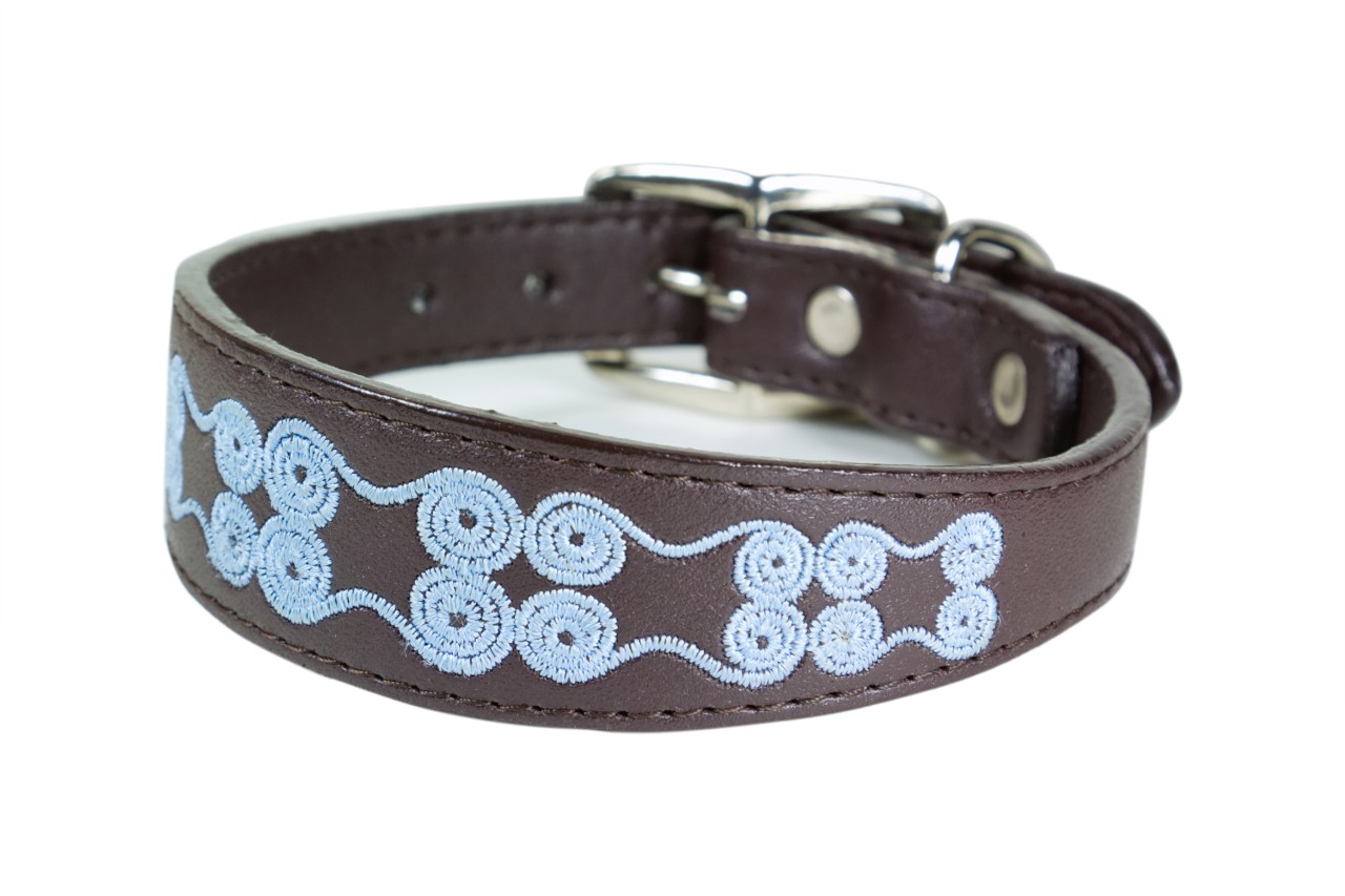 LED Dog Collar The 10 Best Lighted Dog Collars of 2020