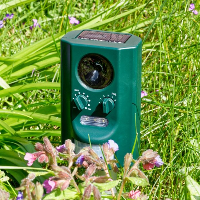 Dog Repellent Best Outdoor Pet Repellent Spray