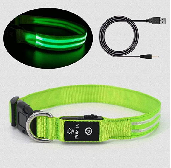 LED Dog Collar The 10 Best Lighted Dog Collars of 2020