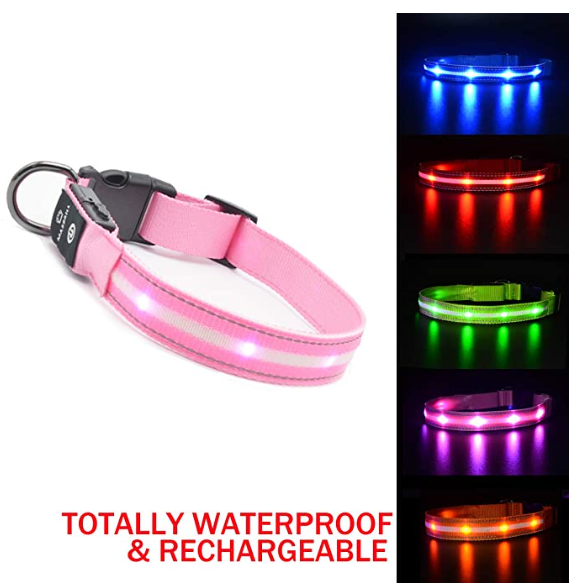 LED Dog Collar The 10 Best Lighted Dog Collars of 2020