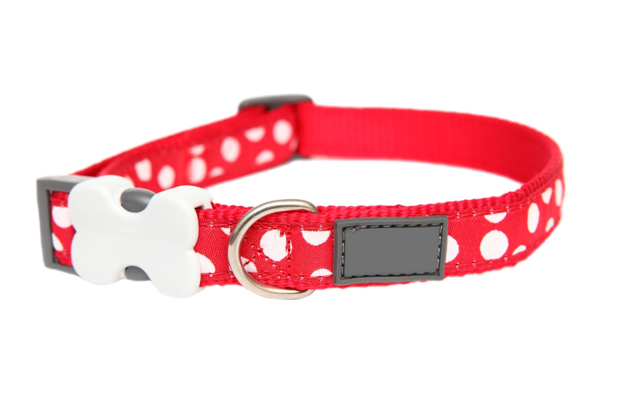 LED Dog Collar: The 10 Best Lighted Dog Collars of 2020 | Dogsrecommend