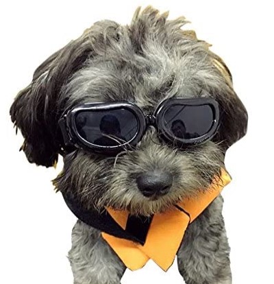 Enjoying Dog Goggles - Small Dog Sunglasses Waterproof Windproof UV Protection for Doggy Puppy Cat