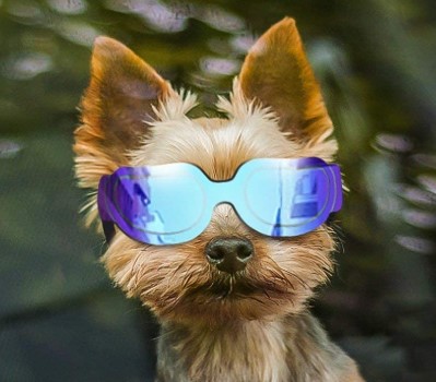 Enjoying Small Dog Sunglasses - Dog Goggles for UV Protection Sunglasses Windproof with Adjustable Band for Puppy Doggy Cat