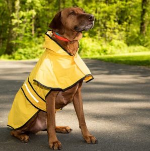 Fashion Pet Dog Raincoat For Small Dogs | Dog Rain Jacket With Hood | Dog Rain Poncho
