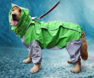 GabeFish 9 Colors Optional, 10 Sizes, Waterproof 4 Legs Pets Raincoat for Small Medium Large Dogs