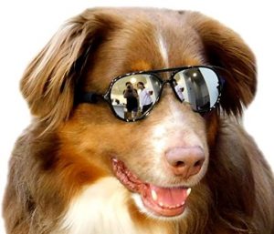 G010 Dog Pet Aviator Sunglasses Goggle For Photoshoot Prop Costume