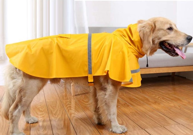 The 10 Best Dog Raincoat of 2020 | Dogsrecommend