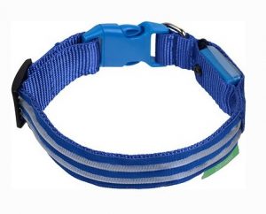 Blue Illumiseen LED USB Rechargeable Dog Collar