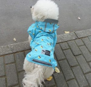kyeese Dog Raincoat Antidroplet Waterproof Reflective Dog Rain Poncho with Hood Lightweight Packable Dog Slicker Raincoats with Zip Pocket