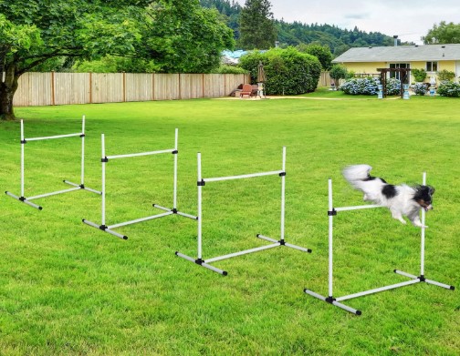 PawHut 4 Piece Adjustable Dog Jump Bar Agility Training Equipment with Carrying Case