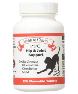 PTC Profits to Charity Glucosamine and Chondroitin with MSM Double Strength Hip and Joint Support Chewable Tablets for Dogs