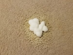 grey carpet with pet pee stain and foam