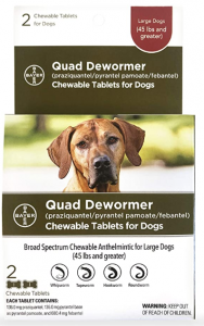 Bayer Quad Chewable Dewormer