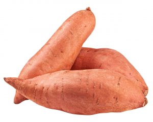 Allow Your Hound to Enjoy a Little Sweet Potato Treat