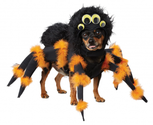 california costumes pet spider costume