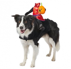 frisco headless rider dog costume